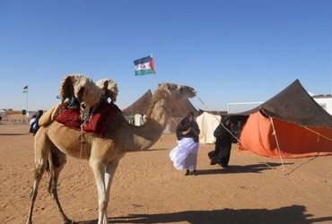 Zahodna Sahara: Ljudstvo v boju
