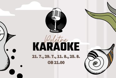 Poletne karaoke v Vetrinjcu