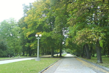 Vpliv podnebnih sprememb na rastline v Mestnem parku <em>Foto: ©©2.5 Sweden Wikipedia</em>